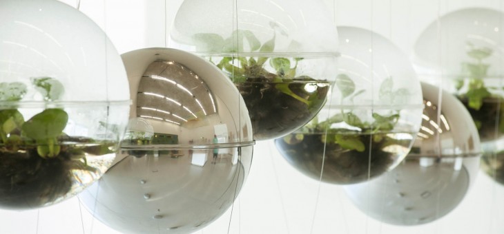 Proyecto Bioesfera
